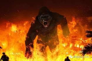 金刚骷髅岛在线观看完整版,惊险探险,探寻神秘岛屿的奇幻之旅 第2张 金刚骷髅岛在线观看完整版,惊险探险,探寻神秘岛屿的奇幻之旅 第2张